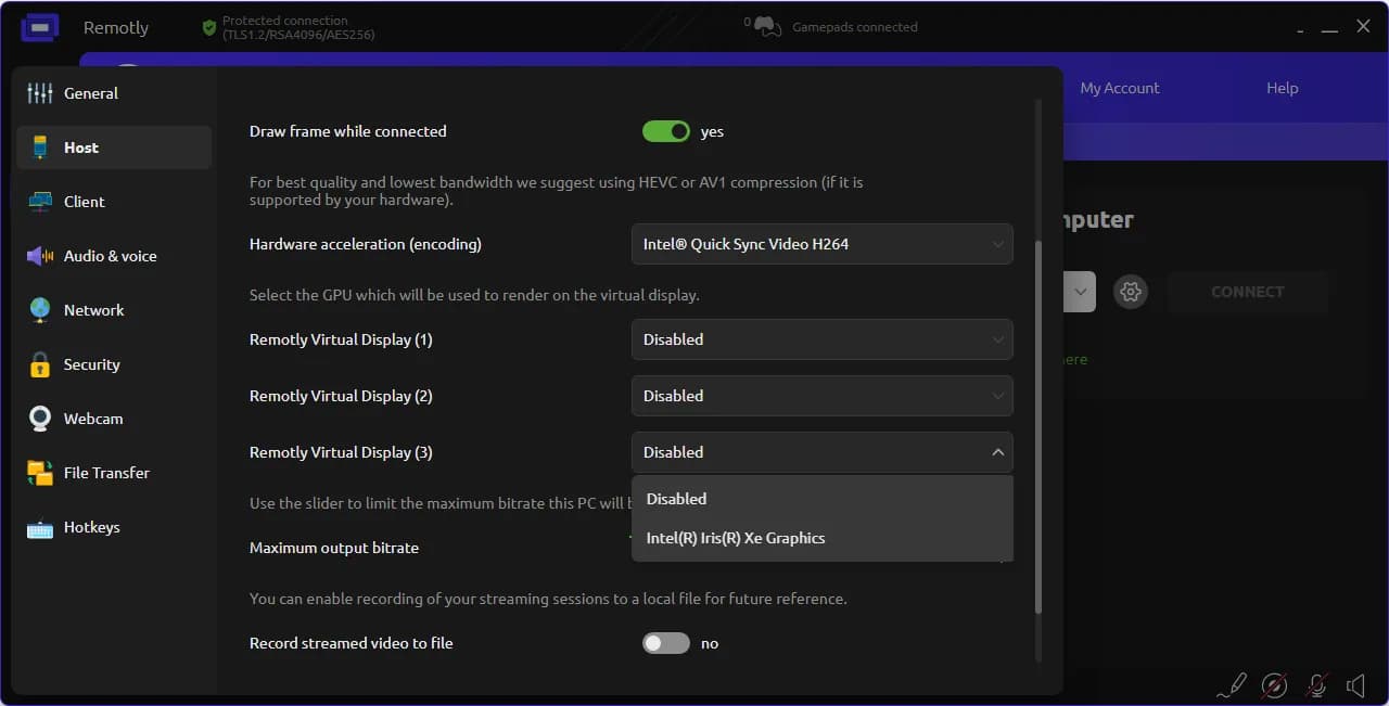 Remotly settings — assigning a GPU to virtual displays
